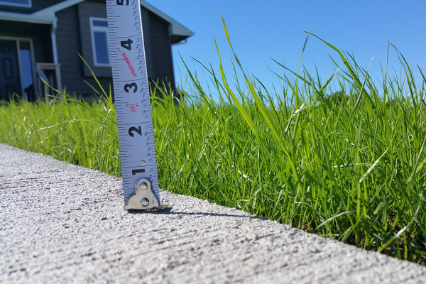 Measuring hydroseed grass height with tape measure